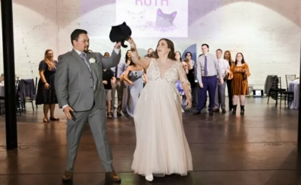 [VÍDEO] Noivos viralizam na web ao jogar ‘gato fake’ ao invés de buquê na festa de casamento
