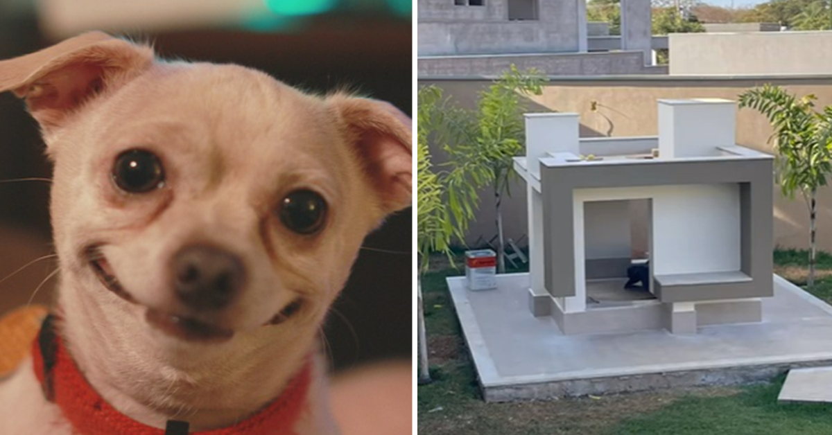 [VÍDEO] Engenheiro mostra casa do cachorro de seu cliente, que é uma réplica da casa dele: “Criatividade”