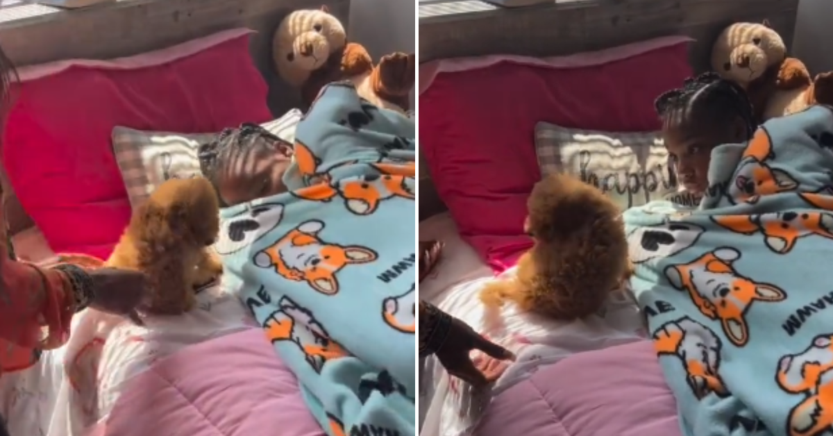 [VÍDEO] Mãe presenteia filha com cachorrinho e reação da menina conquista internautas; assista