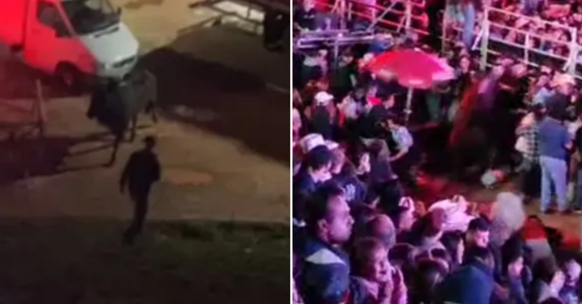 vÍdeo touro invade arena de rodeio com público dentro em show de ana