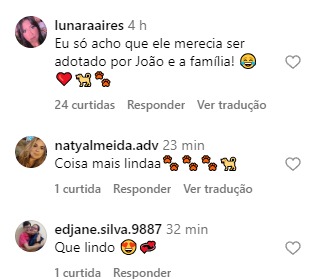 Internautas reagem a vídeo de vira-lata caramelo - Foto: Instagram