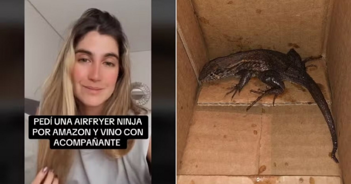 [VÍDEO] Mulher encontra lagarto em encomenda de Air Fryer e viraliza na web com relato chocante