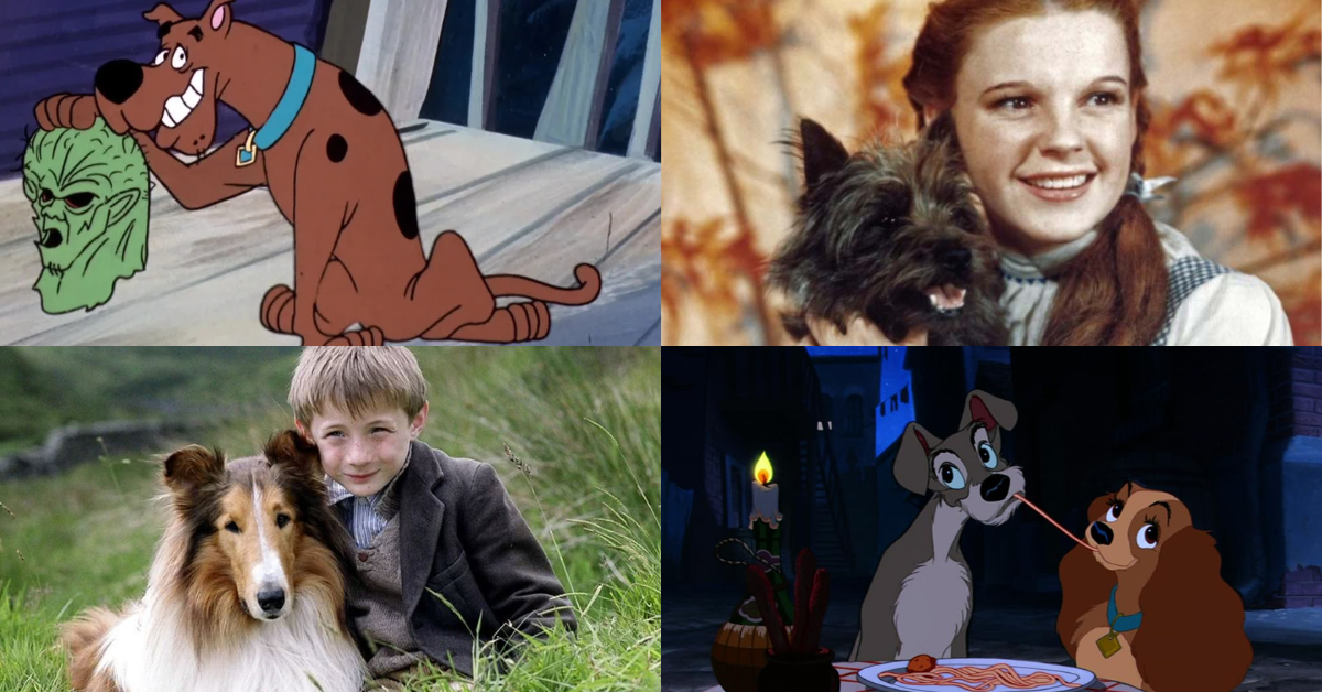 Descubra a raça de Scooby-Doo e outros 13 cães famosos do cinema e televisão