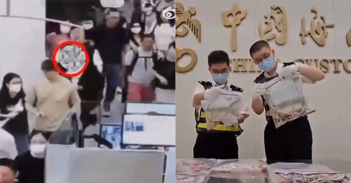 [VÍDEO] Homem é detido após tentar contrabandear mais de 100 cobras vivas escondidas em suas calças; veja