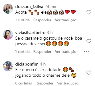 Internautas reagem a vídeo de vira-lata caramelo - Foto: Instagram