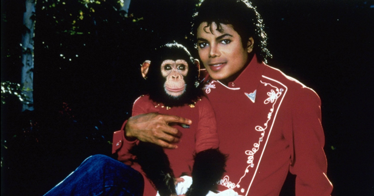 Saiba o valor astronômico que o chimpanzé de Michael Jackson ganha de herança todos os anos