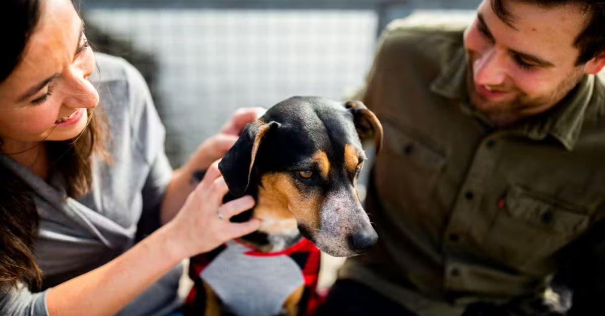 Casal com cachorro — Foto: Chewy/Unsplash