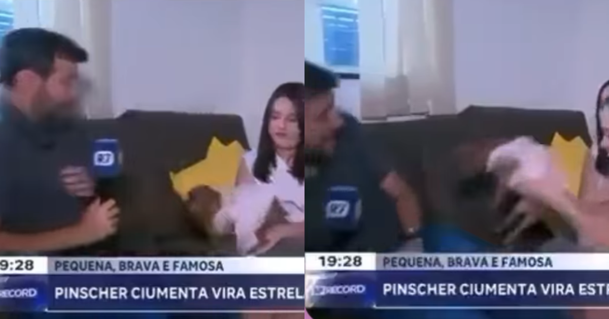 [VÍDEO] Repórter da Record é atacado por pinscher durante reportagem ao vivo: “Puro ódio”
