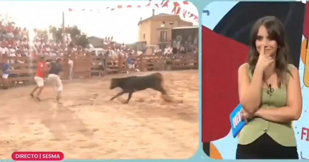 Repórter é atacado por touro ao vivo durante cobertura de evento - Foto: Reprodução