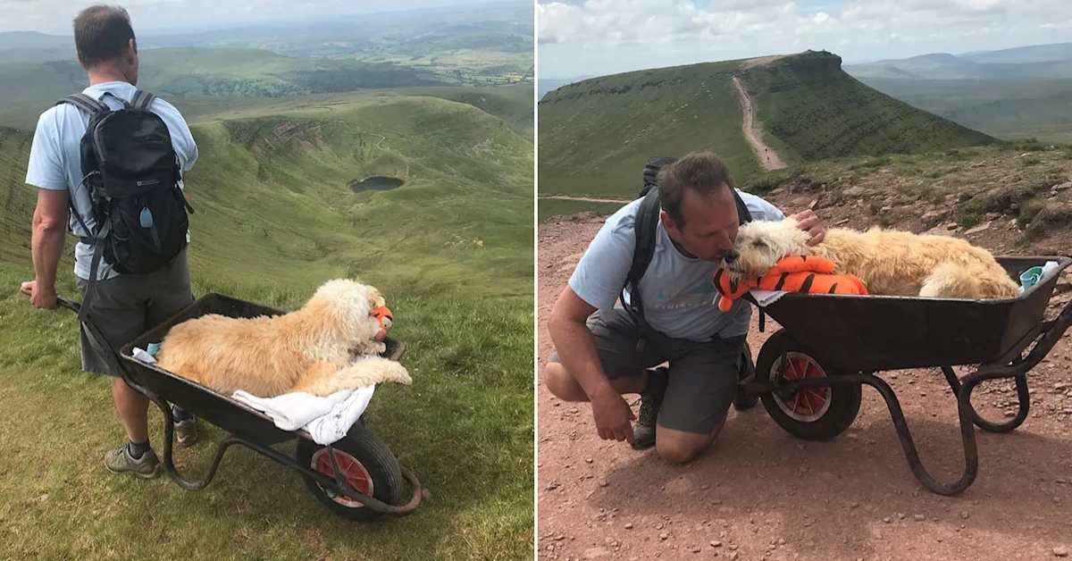 O último passeio de Monty: a montanha que uniu para sempre um homem e seu melhor amigo