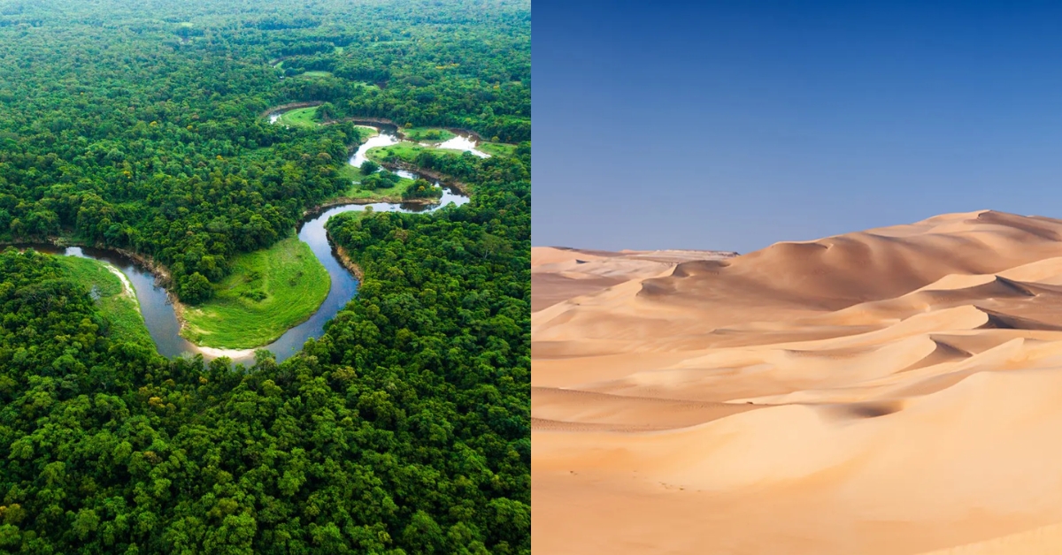 O deserto que alimenta a floresta: o elo invisível entre o Saara e a Amazônia